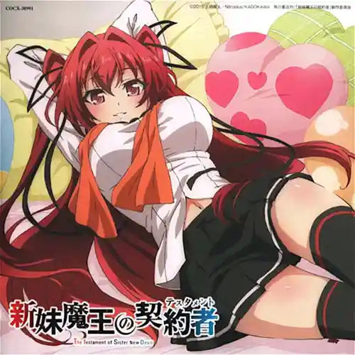 The Testament of Sister New Devil Rinkai Toppa no Zecchou Music Collection cover